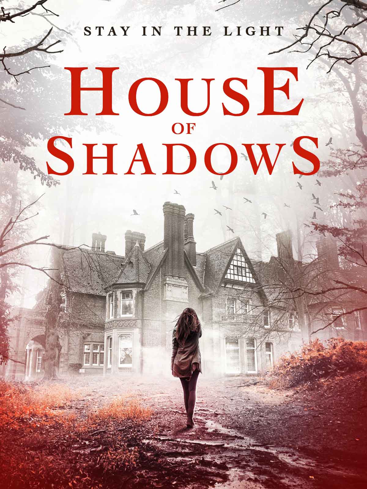 House of Shadows copy