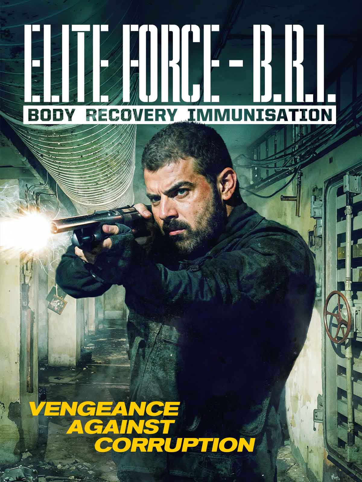 BRI_amazon_3x4_cover_art_1200x1600 copy