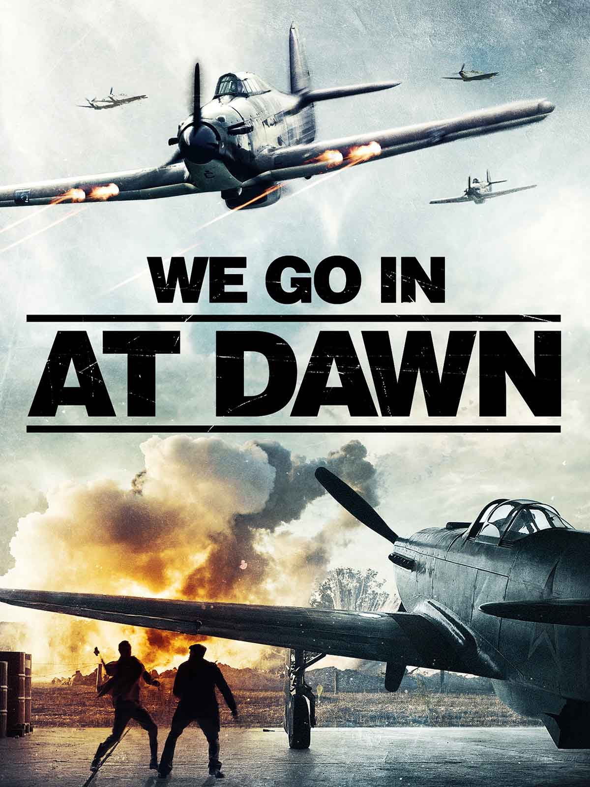 We Go in at Dawn copy