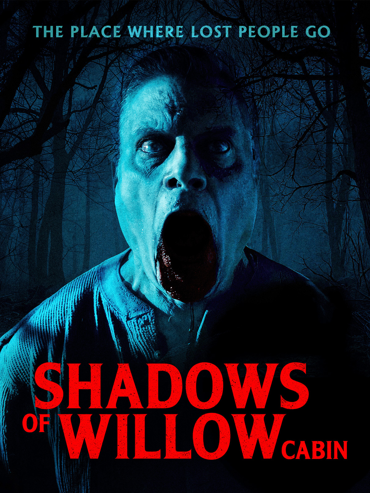 shadows_of_willow_cabin_amazon_3x4_cover_art_1200x1600