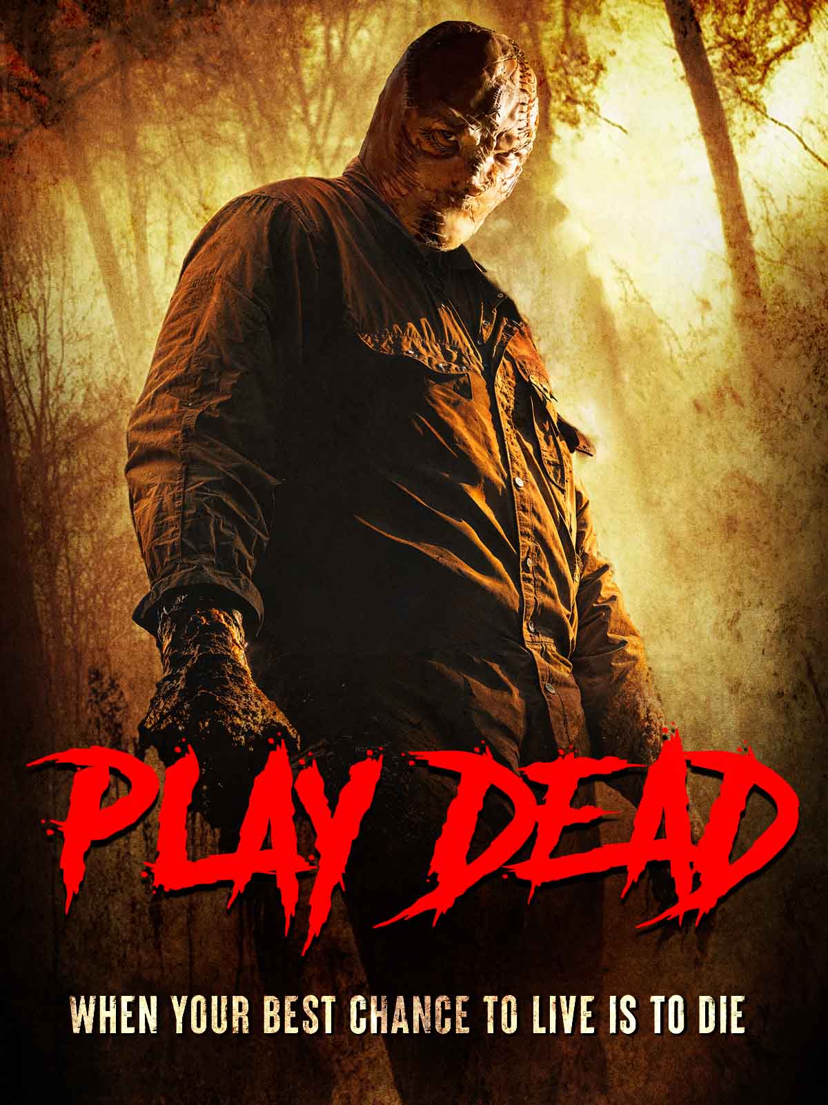 play_dead_amazon_3x4_cover_art_1200x1600