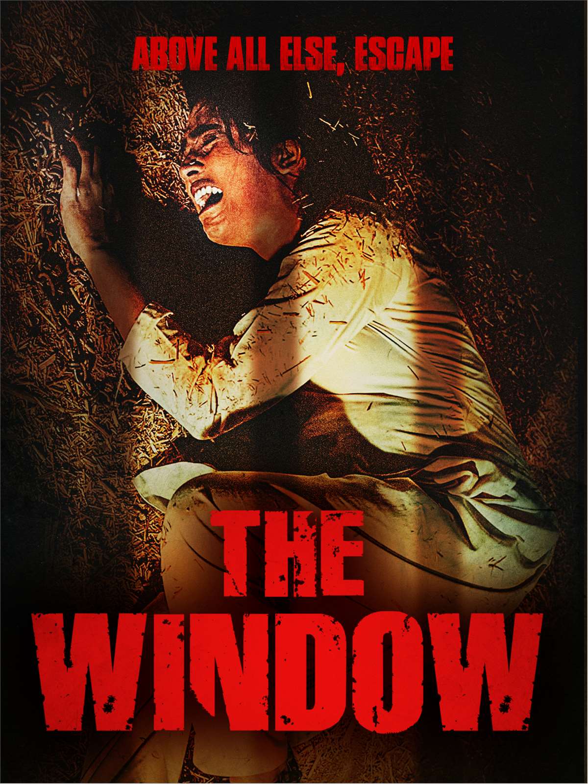 the_window_amazon_3x4_cover_art_1200x1600