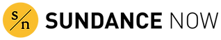 Partner Logo 21